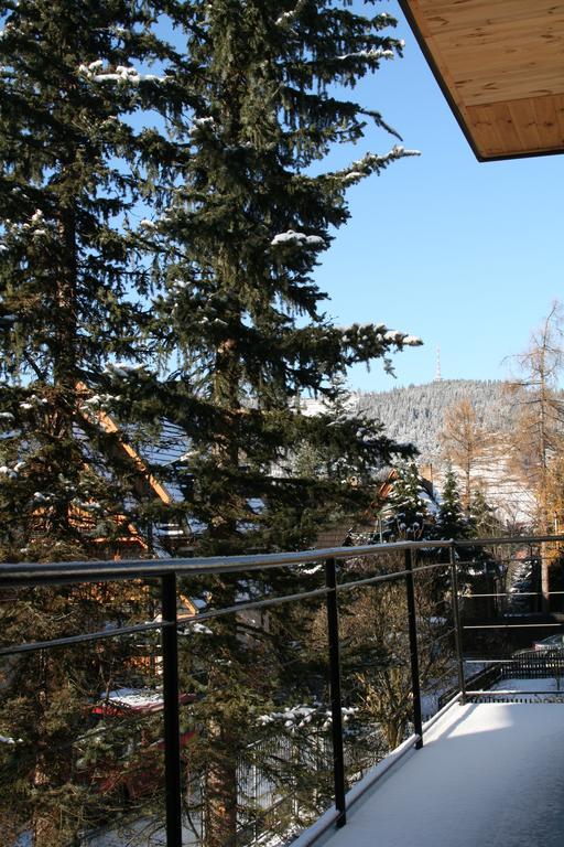 Willa Na Wilcznik Zakopane Exteriér fotografie